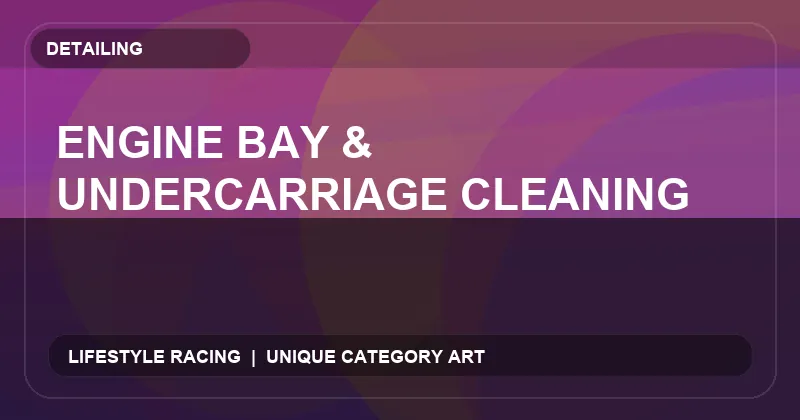 Engine Bay & Undercarriage Cleaning